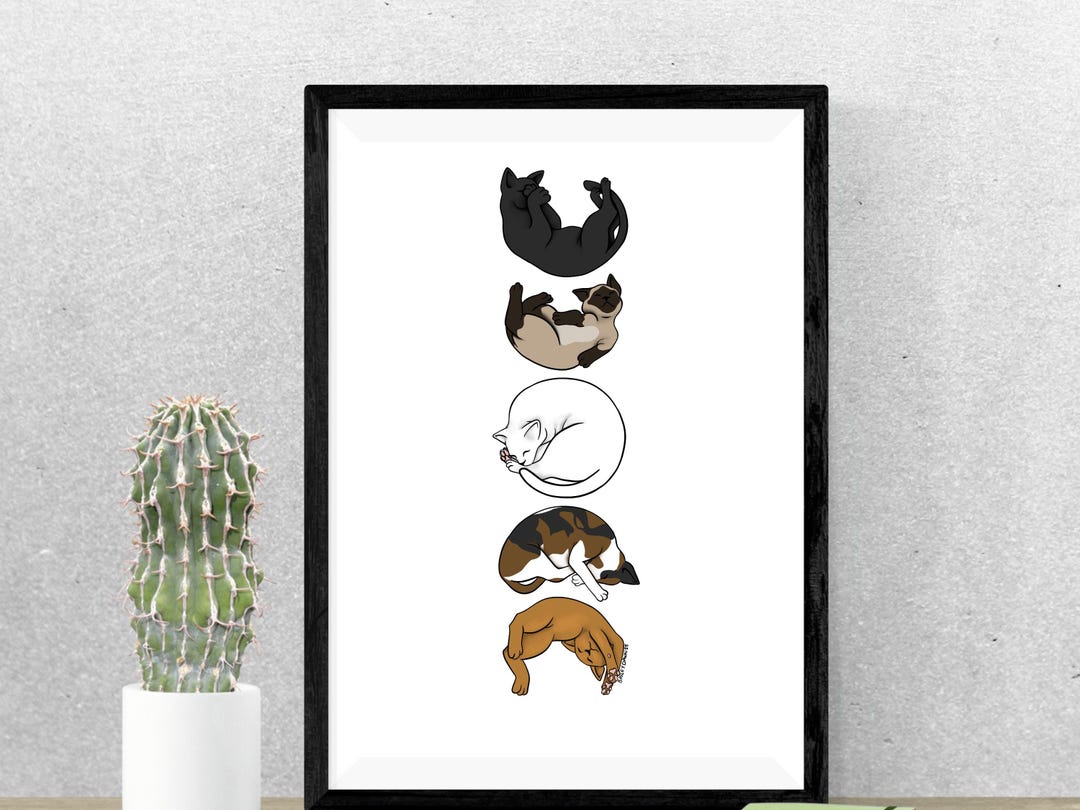 Cat Moon Phase Art Print: Celestial Feline Decor (5x7, 8.5x11) - Etsy