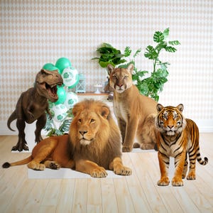Animals Cutout, Cardboard Cutout, Life Size Cardboard Cutout for Kids Birthday, Birthday Party Props, Cardboard Cut Out, Animal Birthday