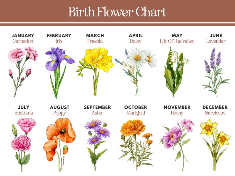 May include: A floral chart featuring watercolor illustrations of birth flowers for each month. The chart includes flowers like carnation, iris, freesia, daisy, lily of the valley, and lavender, with the text "Birth Flower Chart" at the top.
