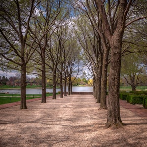 Chicago Botanic Garden Von Bäumen gesäumter Malerweg
