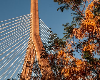Boston North End-Fall Foliage-Paul Revere Park-Zakim Memorial Bridge