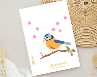 Carte double avec une jolie mésange bleue, intérieur vierge, enveloppe de qualité incluse, collection les oiseaux de mon jardin