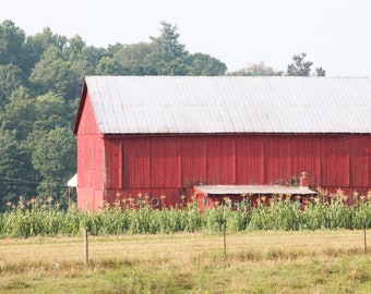 Old Red Barn Photograph, DIGITAL DOWNLOAD, Kentucky Barn Picture