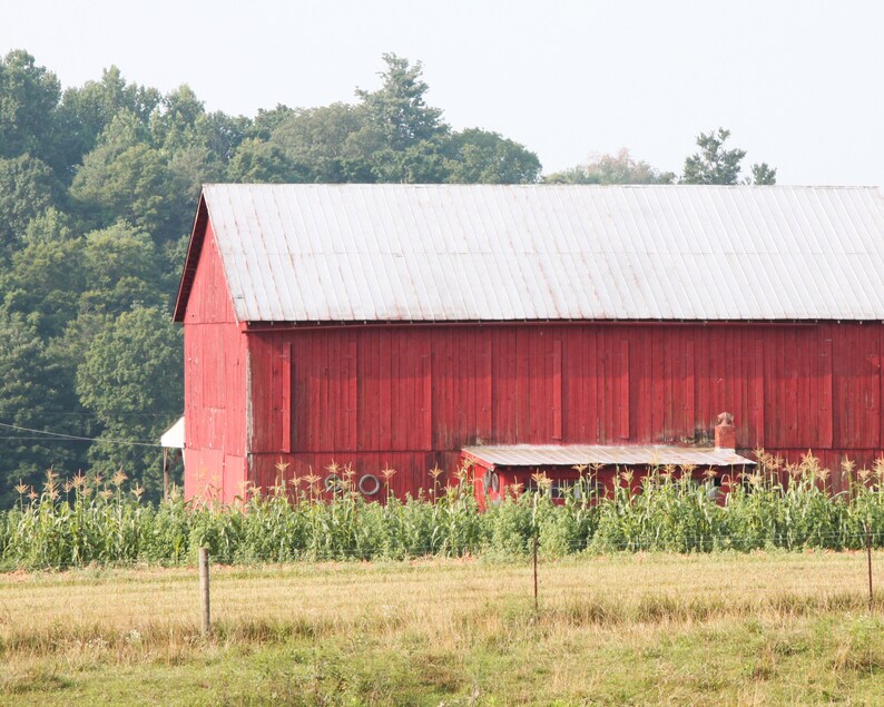 Old Red Barn Photograph, DIGITAL DOWNLOAD, Kentucky Barn Picture image 1