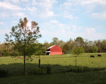 Old Red Barn Picture, DIGITAL DOWNLOAD, Kentucky Farm Photograph