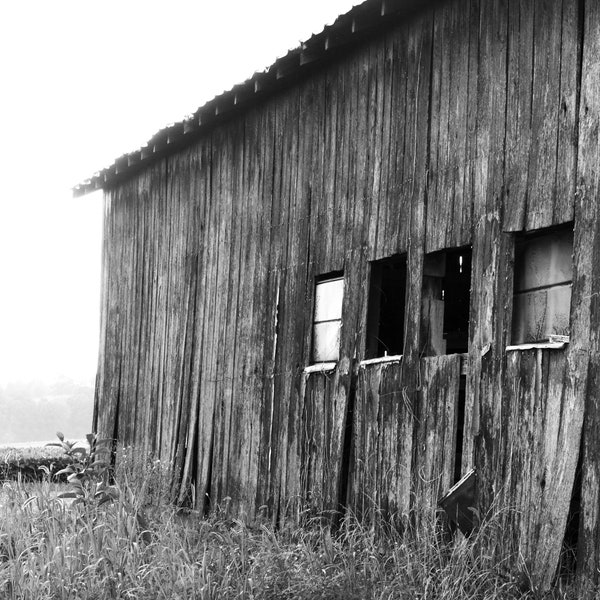 Rustic Black Barn Photograph, DIGTIAL DOWNLOAD, Black and White Kentucky Picture