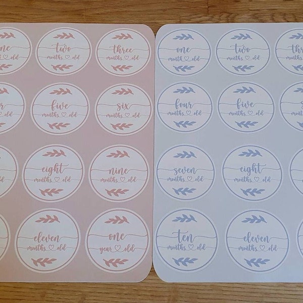 Baby milestone stickers sheet age stickers blue or pink design.