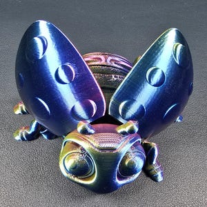 May include: A metallic blue and purple ladybug ornament with open wings. The wings feature circular indentations. The head and body of the ladybug have a rainbow iridescent finish.