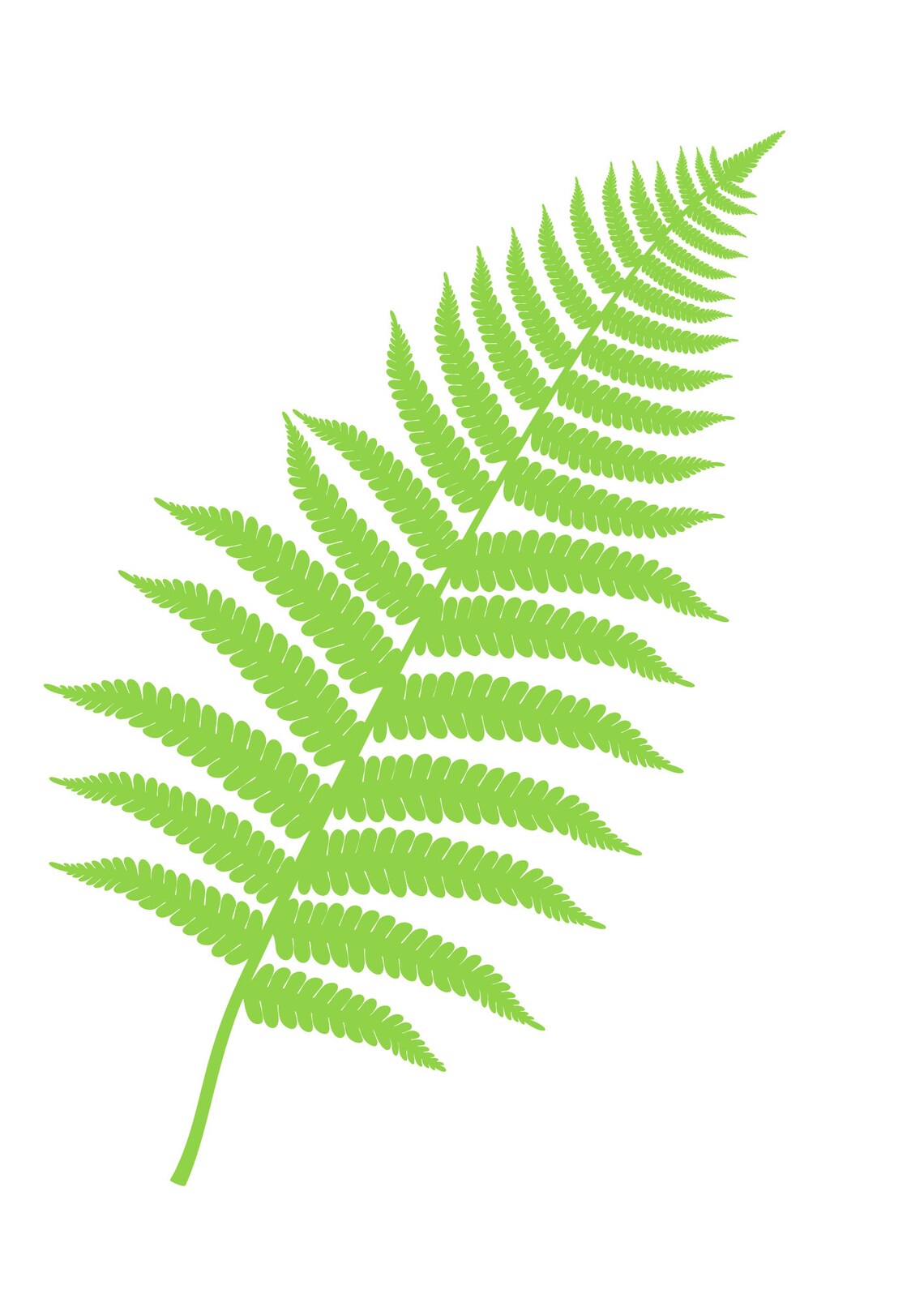 6 Green Fern Printable, Printable Ferns, Fern Illustration, Fern ...