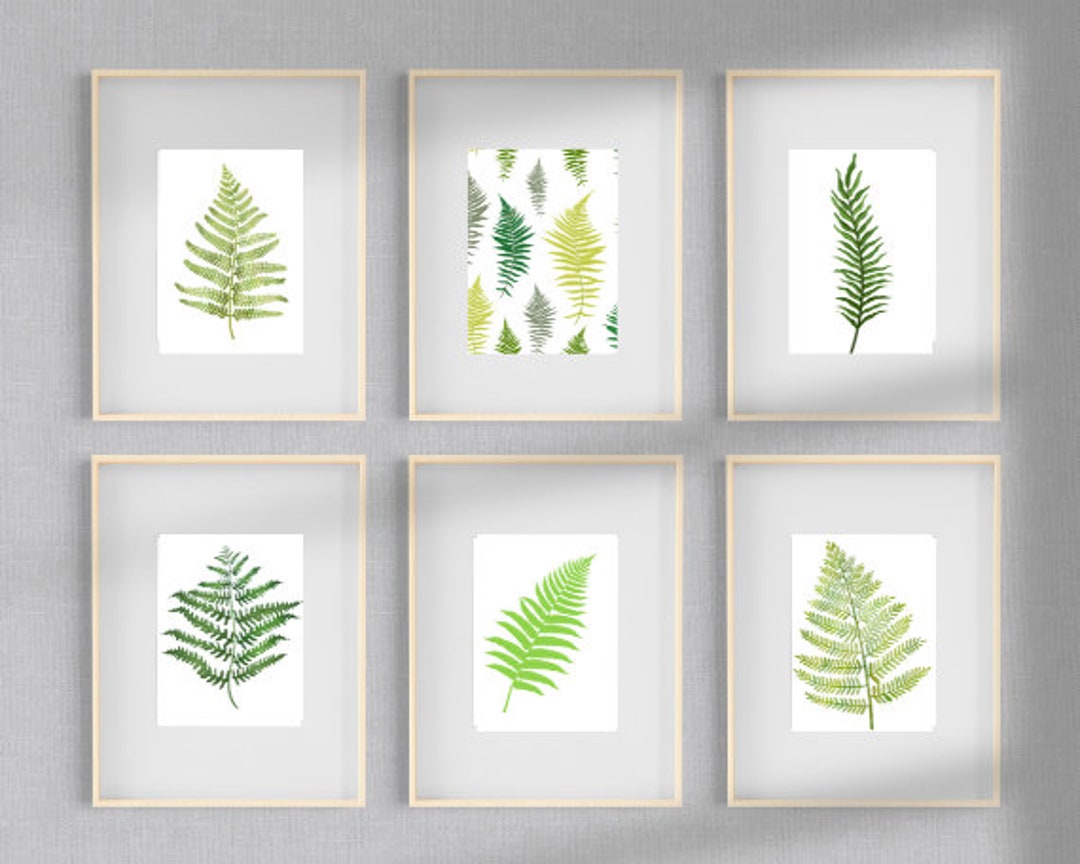 6 Green Fern Printable, Printable Ferns, Fern Illustration, Fern
