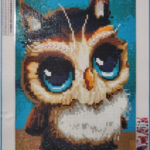 COMPLETED Diamond Painting - Special Owl