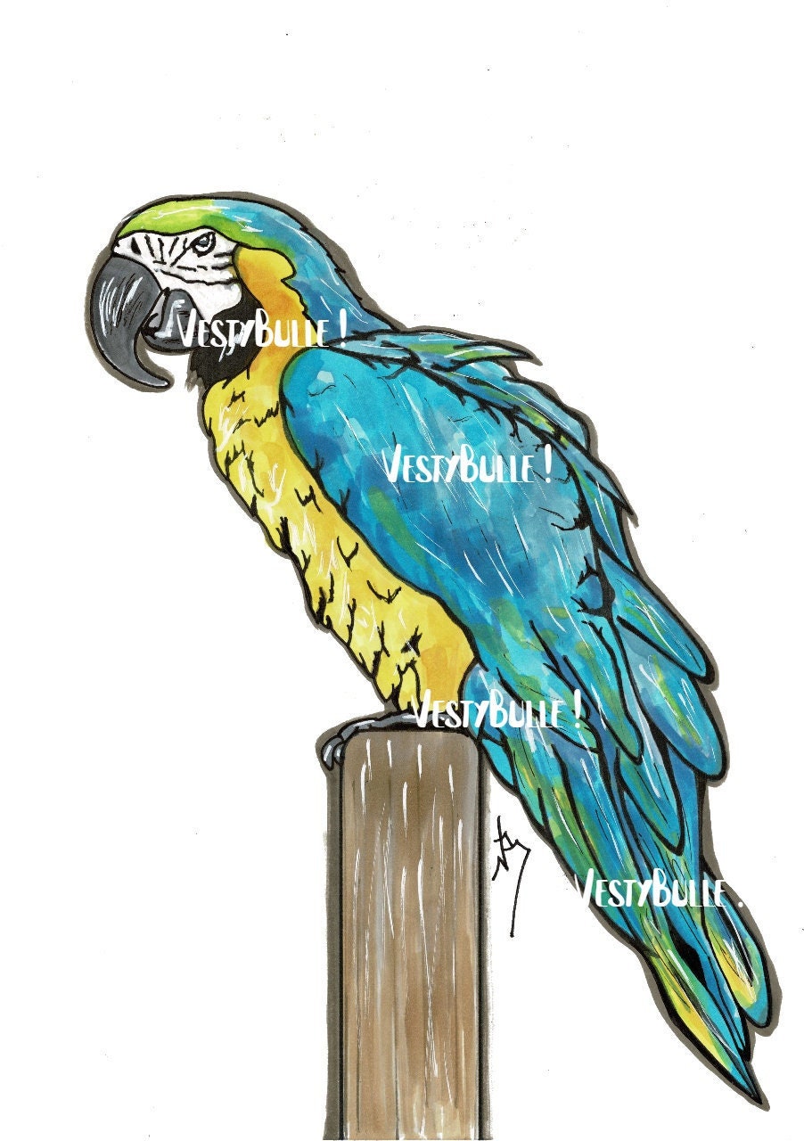 Illustration 1 Exemplaire Format A4