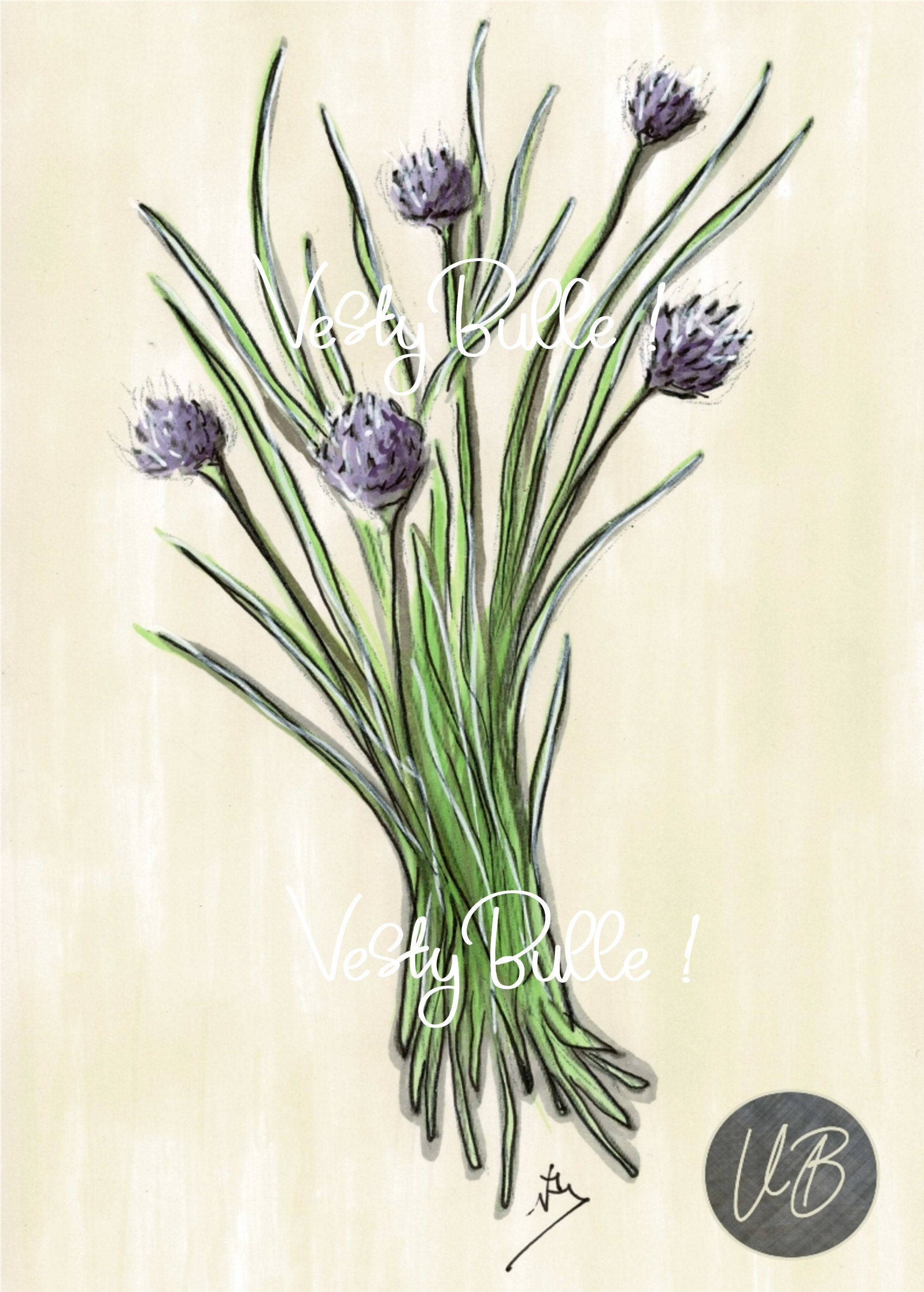 Carte Postale Ciboulette