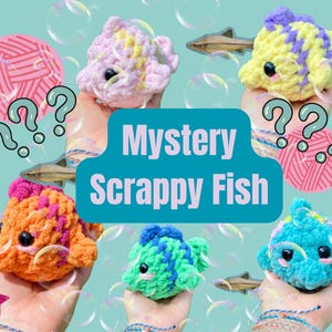 May include: Five small, plush, crocheted fish toys in various colors including pink, yellow, orange, green, and blue. Each fish features black bead eyes and a textured yarn finish. The text "Mystery Scrappy Fish" is centered in a teal box.