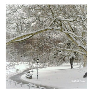Central Park, New York City