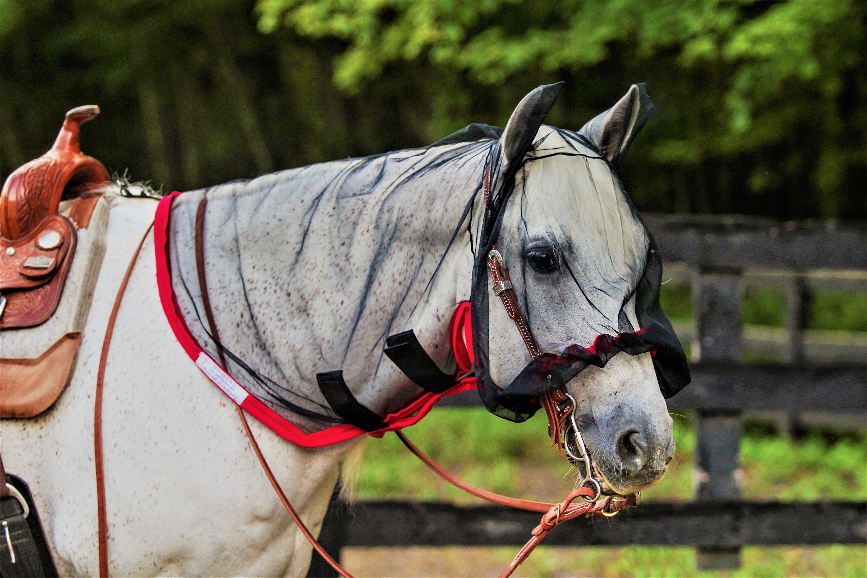 Horsehoodie Fly Mask Fly Protection 100% American Made Light Weight Equine Fly Bonnet Horse Fly Mask Donkey Fly Mask Color Fly Mask