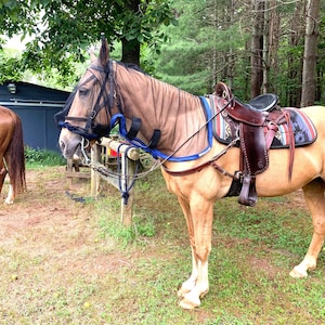 Horsehoodie Fly Mask Fly Protection 100% American Made Light Weight Equine Fly Bonnet Horse Fly Mask Donkey Fly Mask