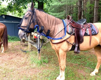 American Made Horse Fly Mask: Equine Riding Protection