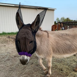 Mini Donkey Fly Mask