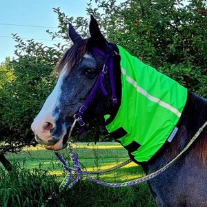 May include: A gray and white horse wearing a bright green safety vest with a reflective strip. The horse is wearing a purple halter and a lead rope.
