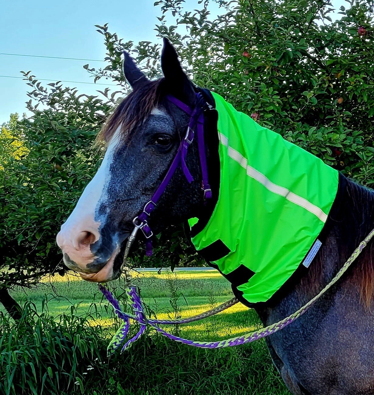 Reflective Horse Neck Cape: Safety Orange Riding Gear - Etsy