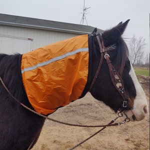 May include: A brown horse wearing an orange horse fly mask with a reflective strip. The horse is wearing a brown leather bridle with a bit and a braided leather rope.
