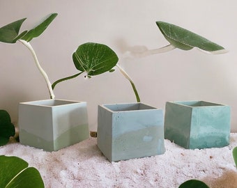 Square Concrete Planter - Cement pot - Succulent pot - Plant Pot - Concrete pot - Pen Holder - Toothbrush holder - Makeup brush holder