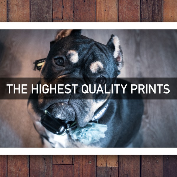 Print my Pictures Photo Prints on Premium Glossy Professional Photo Paper 4x6 5x7 4x6 5x7 8x10 11x14 12x18 Photographs Borderless