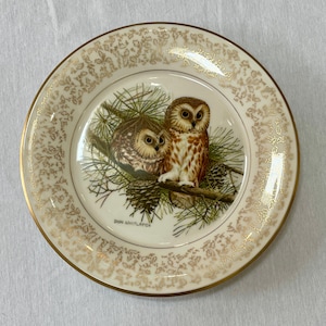 GORHAM Fine China Don Whitlatch Limited Edition SAW-WHET Owl Signed Plate-1975