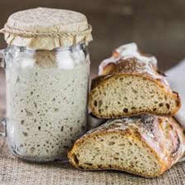 Sourdough Starter - Dried.