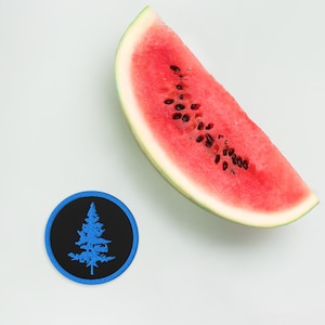 Blue Pine Tree Embroidered patches