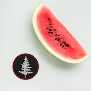 Kastanjebruine en witte geborduurde pijnboompatch