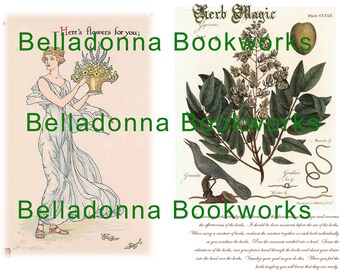 Practical Magic inspired pages for your Grimoire.  Herbal Book of Shadows.  Herb Magic