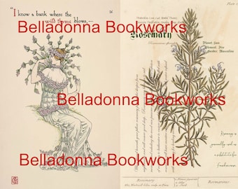 Practical Magic inspired pages for your Grimoire. Herbal Book of Shadows. Thyme and Rosemary