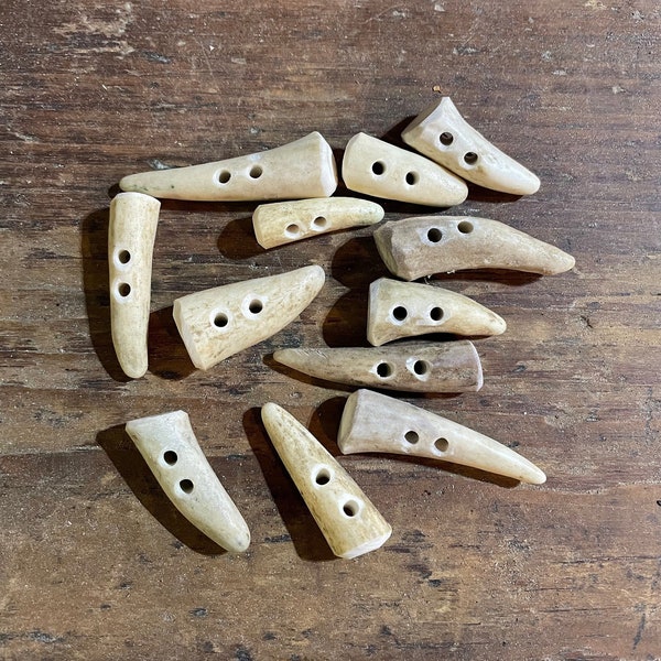 Deer Antler Toggle: Naturally Shed Deer Antler Toggle, One Toggle, Assorted Size, Deer Buttons - FREE SHIPPING!