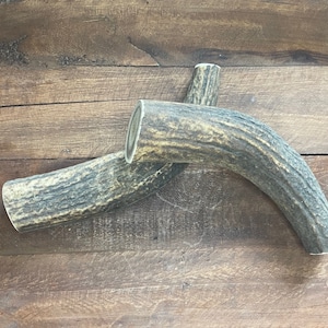 One Large Premium Grade A - Antler Dog Chew
