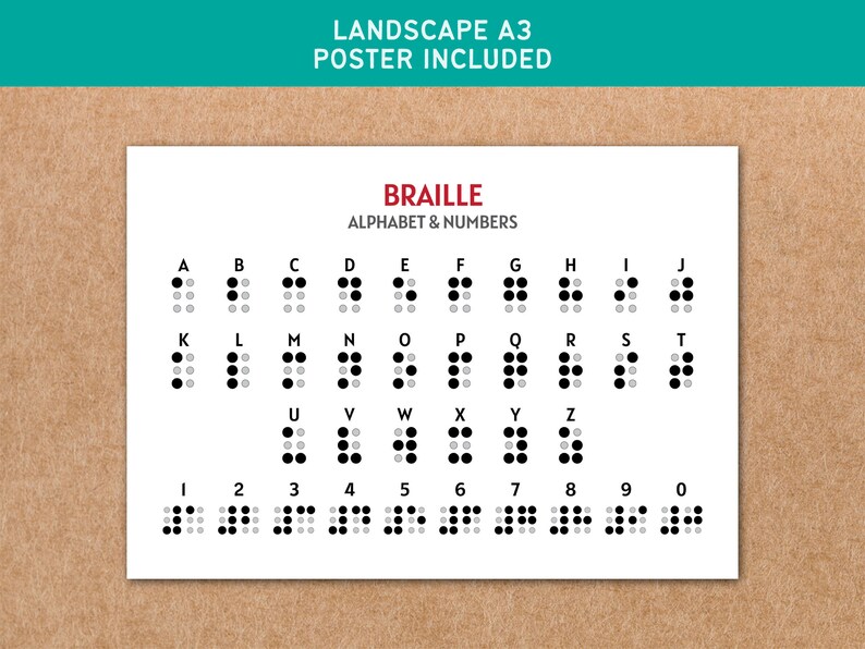 Braille Flash Cards Alphabet & Numbers Printable Poster