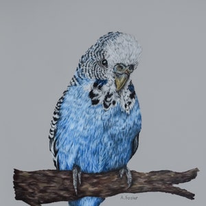 A3 Personalised Animal Art