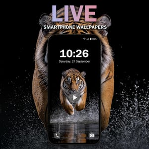 Puede incluir: La cabeza de un tigre asoma por detrás de la pantalla de un teléfono inteligente que muestra un fondo de pantalla animado de un tigre saltando fuera del agua. La pantalla del teléfono muestra la hora 10:26 y la fecha sábado 21 de septiembre.