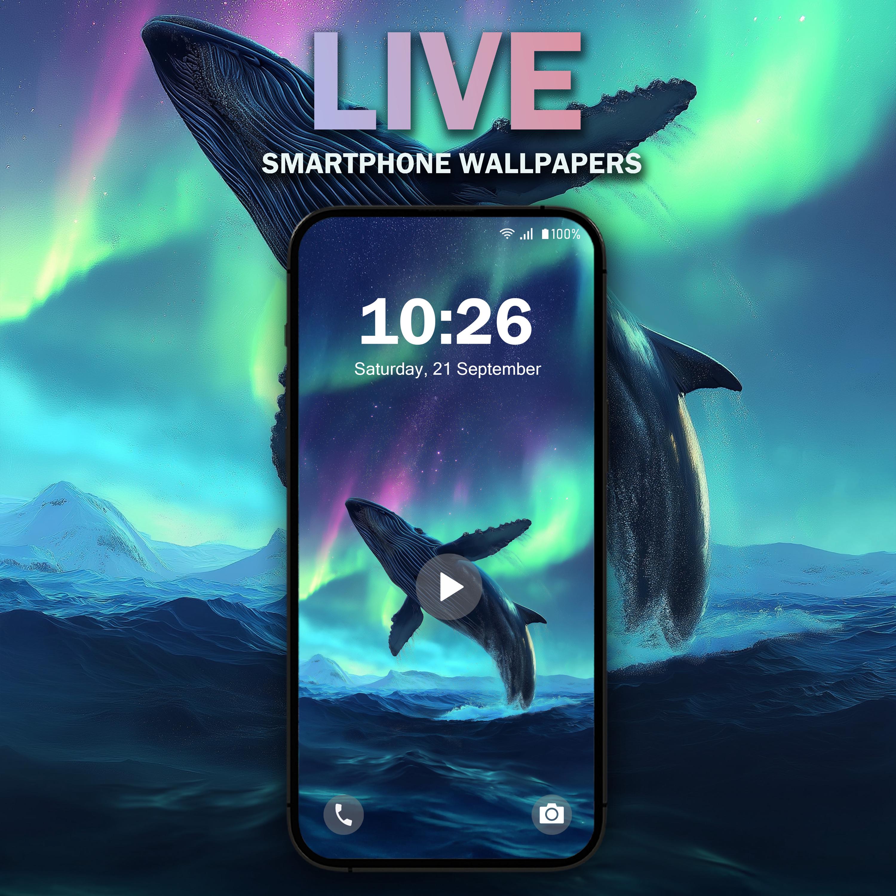 Aurora Whale Phone Live Wallpaper V3 | MP4 JPG for Android| Animal Theme | Nature Aesthetic | Homescreen | Lockscreen