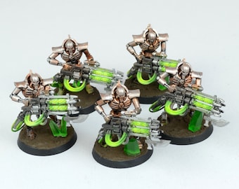 Immortals Necrons WH40k Pro Painted