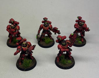 Wh40k: Primaris Incursors | Bemalt und bereit zum spielen