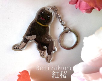 May include: A clear acrylic keychain featuring a cartoon dog with a black body, white paws, and a yellow collar. The dog is in a playful pose. The keychain has a silver chain and ring. The text "Benizakura" and Japanese characters are at the bottom.