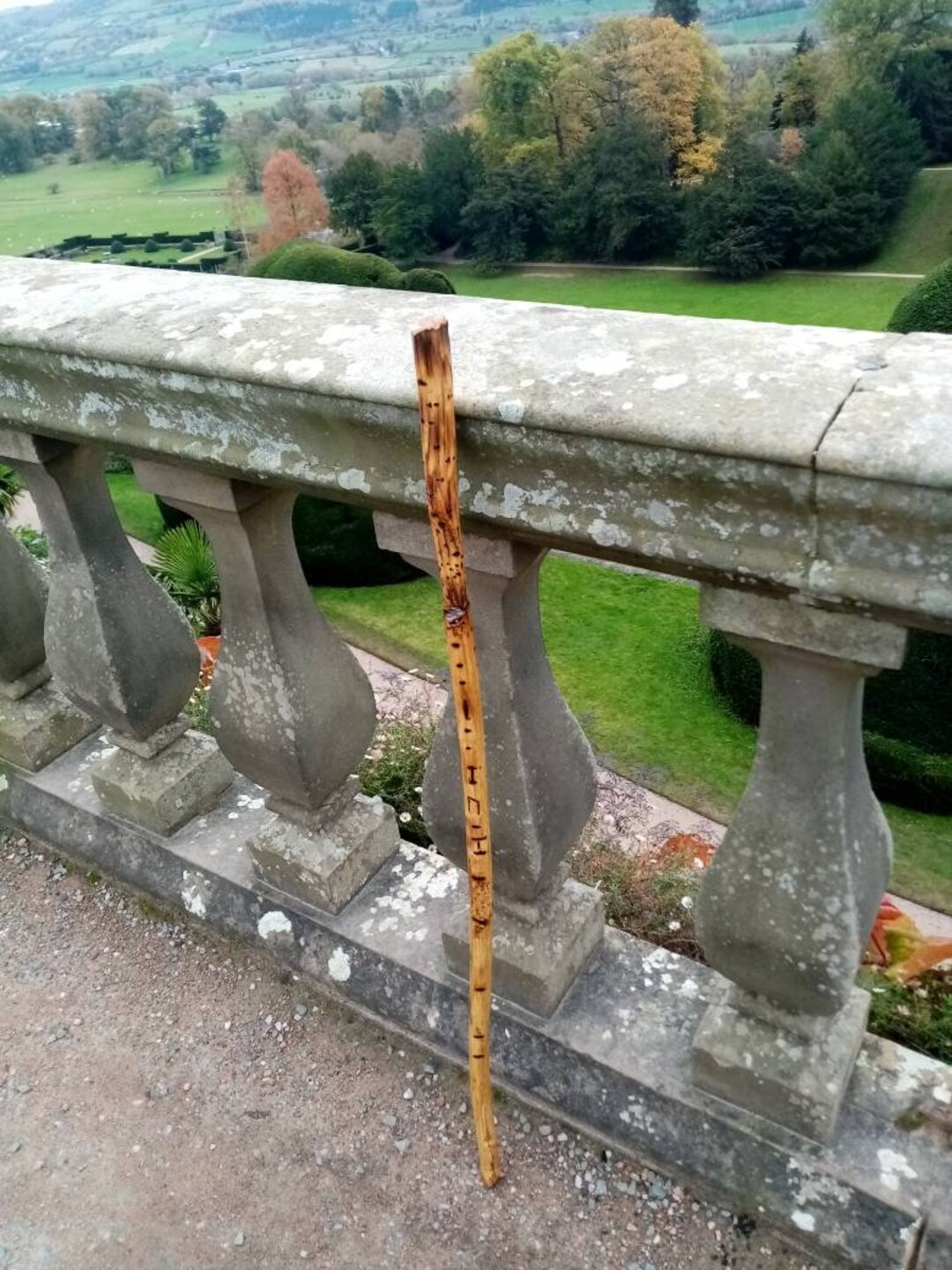 Rustic Hand Crafted Walking Stick. Original. Etsy UK