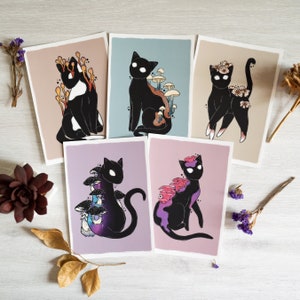 Set di cartoline A6 / Raccapriccianti simpatici gatti a forma di fungo (5 disegni) / Soft Touch Matte
