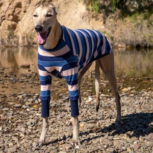 Greyhound Pyjamas – Coco De Snooze | Lightweight Warm Cotton Dog Coat & Shirt | Stretchy Galgo Clothing