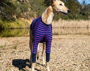 Pijama para galgo – Zoomie violeta / Abrigo y camisa de algodón ligero y cálido para perros / Ropa elástica para galgos