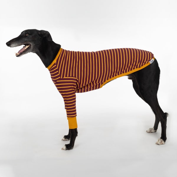 Greyhound Clothes - The Padfoot