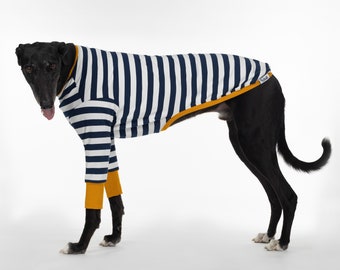 Whippet Clothes - Sailor Mustard