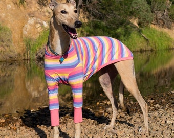 Pijama para whippet con puños de caramelo / Abrigo y camisa de algodón ligero y cálido para perros / Ropa elástica